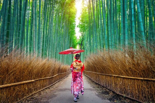 Nhật, Tokyo, Sagano