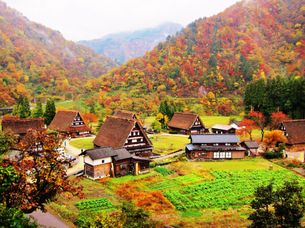 Nhật - Shirakawago, Matsumoto