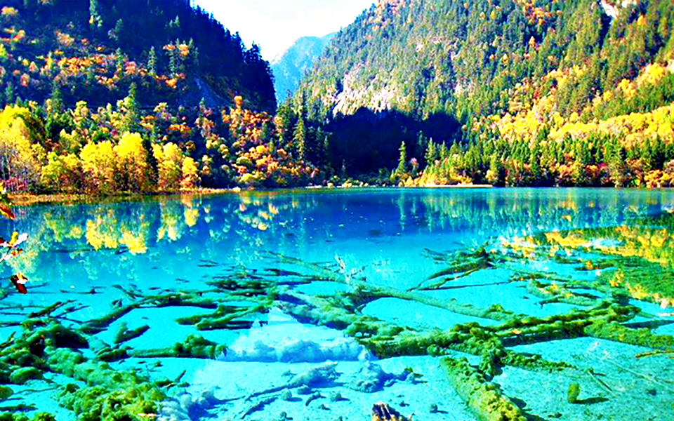 TRÙNG KHÁNH - THÀNH ĐÔ - CỬU TRẠI - NGA MY - LẠC SƠN