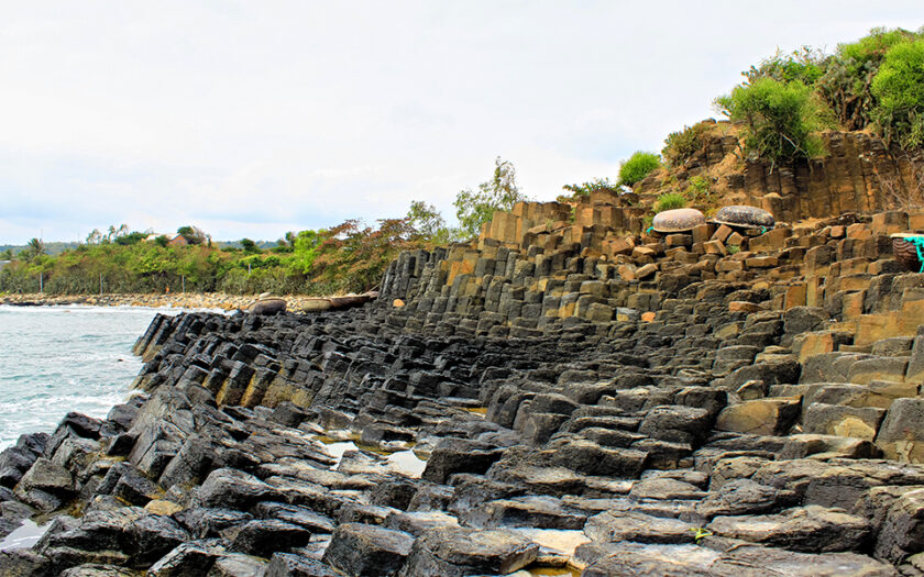 Gành Đá Đĩa - Toan Phat travel