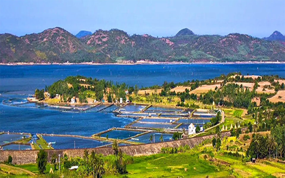 Đầm Ô Loan, Phú Yên - Toan Phat travel