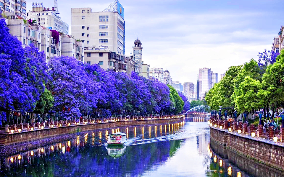 Côn Minh mùa hoa phượng tím - Toan Phat travel